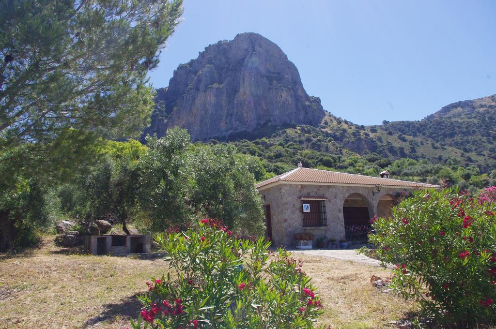 אל גסטור Finca Barreras מראה חיצוני תמונה