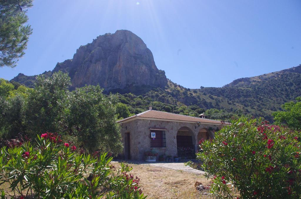 אל גסטור Finca Barreras מראה חיצוני תמונה